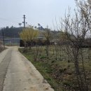 국선농장 이미지