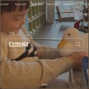 솔향수목원(제3주차장) | 강릉 아기랑 겨울여행｜디코이덕 방문 후기