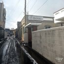 낭밭식당 | 제주 서귀포 보말칼국수 돈까스 현지인맛집 풍자 또간집 추천 표선칼국수