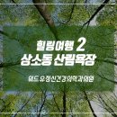 위드정신건강의학과의원 이미지