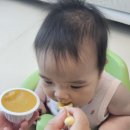 고삼농협 농산물가공유통센터 | 아기이유식간식 100% 국산과일 남원원예농협 직접 갈아 만드는 것보다 좋은 &#39;온리퓨레&#39; 사과배감귤