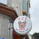 댕살롱 이미지