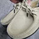 2797 | 클락스 왈라비 메이플 스웨이드 세탁후기 실패 없는 관리 꿀팁 6가지! (부산 신발세탁)