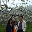 나비랑 한옥 이미지