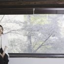허가윤 카카오 검색결과