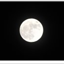 안반데기 목장 이미지