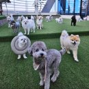 대곡유치원 이미지