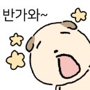 삼복토종닭도리탕 이미지