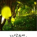 꽃살문에 앉은 바람 - 김현주 산문집 (문예바다 기획선) 이미지