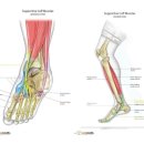 365스마일한의원 이미지