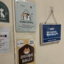 강아지대학로 | 혜화 대형견들도 있는 강아지카페 [강아지 대학로]