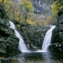 무릉계곡 1호 이미지