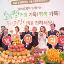 과일정