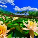 청초스포츠센터 이미지