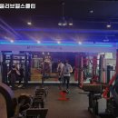 뽀빠이 올리브 헬스클럽 이미지