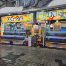 속초대게여왕 이미지