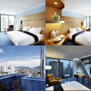 모텔리젠트 이미지