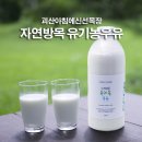 아침에 신선목장 이미지