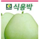 박 이미지