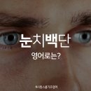 백단 이미지