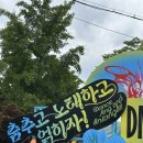 채움락 | 250615 DMZ 피스트레인 뮤직 페스티벌 2025 일요일 후기 @철원 고석정