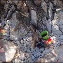 숲속나라유치원 오마이뉴스