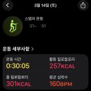 S033 네이버블로그