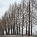 공주시 종합사회복지관 | 정안천 연못가 겨울 산책길