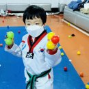 대호태권도체육관 이미지