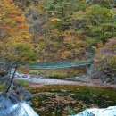 구수곡자연휴양림 야영장 이미지