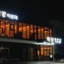 짝꿍테라피