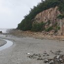 백수읍사무소 이미지