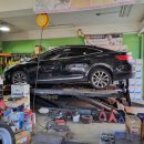 대기카포스 이미지