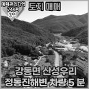 정동진 공인중개사사무소 이미지