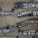 비타민숲