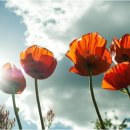 동진환경 이미지