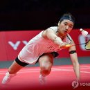 동부체육관(동부스포츠센터) 이미지