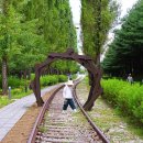 경춘선솔밭길 이미지