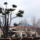 한재초등학교 이미지