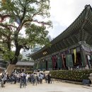 지식의 여정 이미지