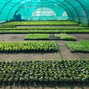 한국농장 이미지