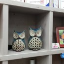 사과나무부동산중개사무소 이미지