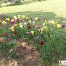 도림농장 이미지