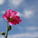 탄현1로 이미지