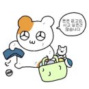 잼액세사리 | 테무깡 애플와치 액세사리 , 아이폰16 케이스, 차량용 스마트폰 거치대