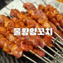 물왕양꼬치