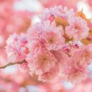 경기도 수원시 권선구 권중로 55 (권선동) 이미지