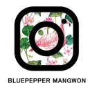 블루페퍼안경망원점 이미지