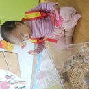 🌸꽃들반🌸 생태체험 - 테구와 팬더마우스🦎🐁 이미지