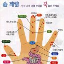 건강체조 이미지